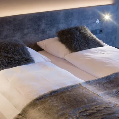 Heitzmann - & Rooftop 4* ツェル アム ゼー